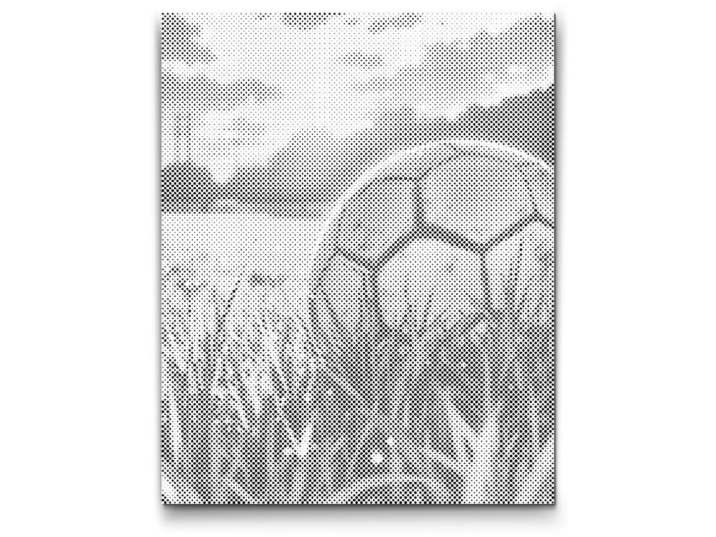 Dotting - Fodbold ved solnedgang