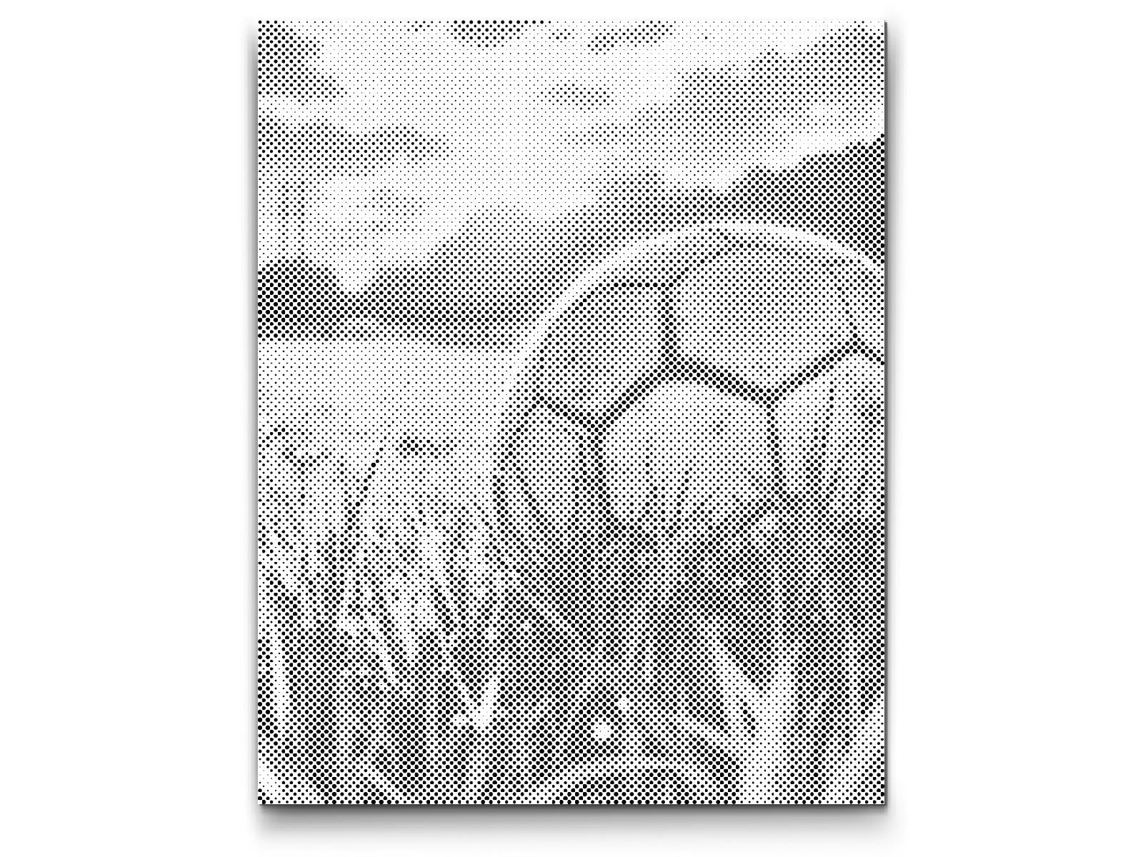 Dotting - Fodbold ved solnedgang