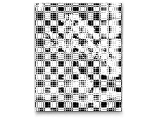 Dotting - Sakura bonsai
