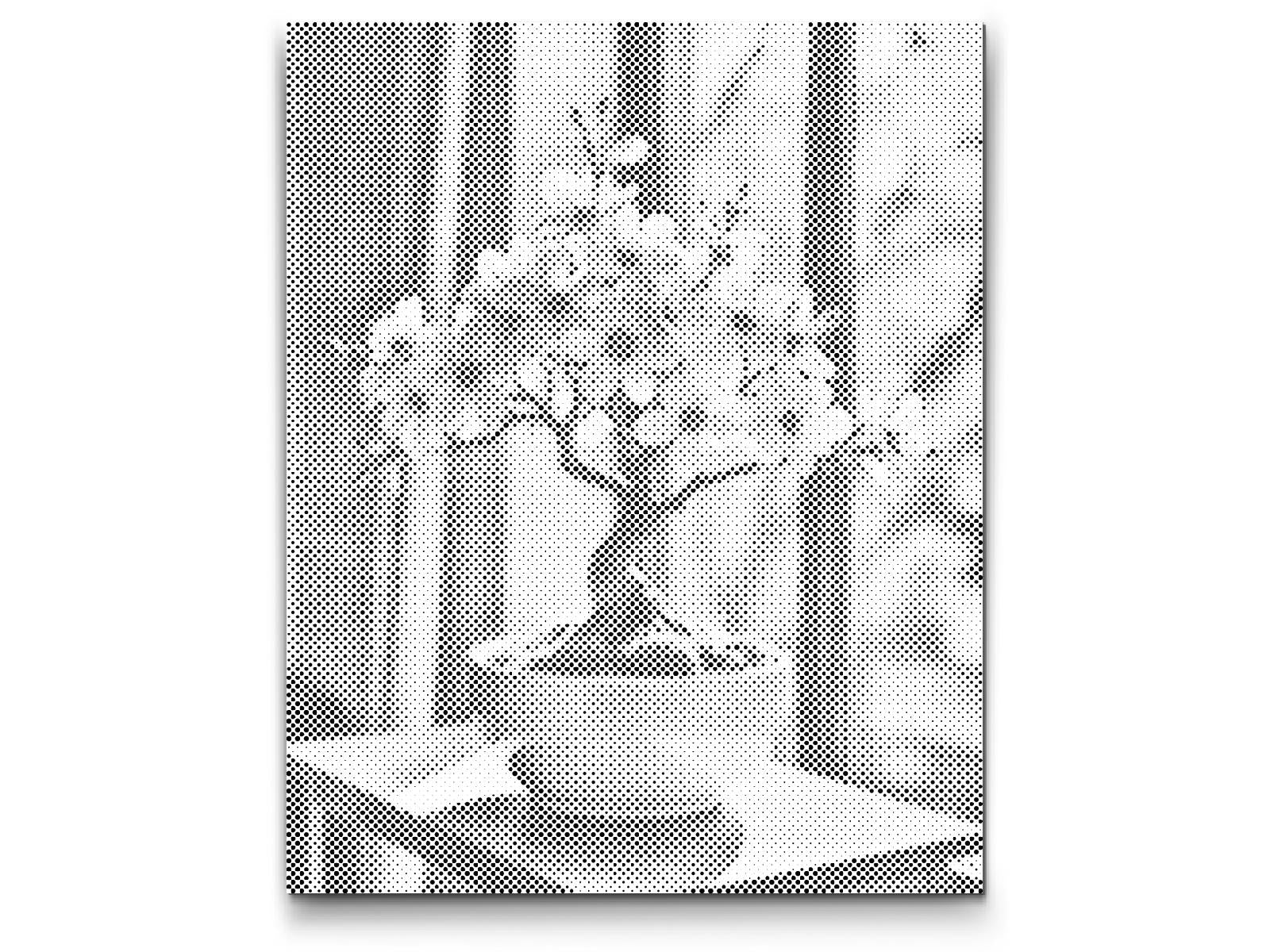 Dotting - Sakura bonsai ved vinduet