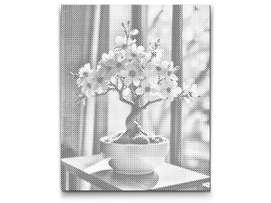 Dotting - Sakura bonsai ved vinduet