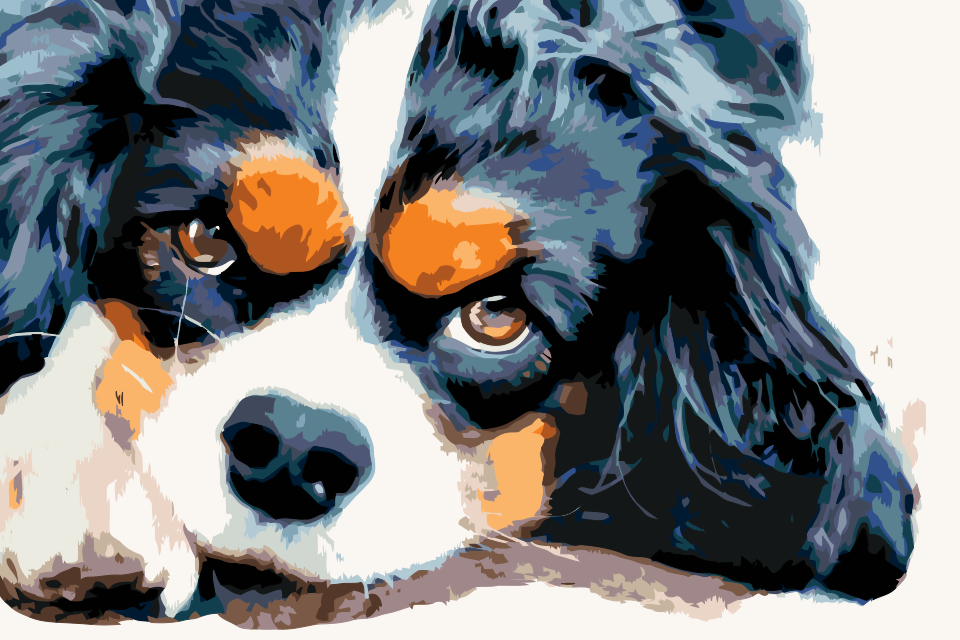 Paint by number - Thougtful Dog