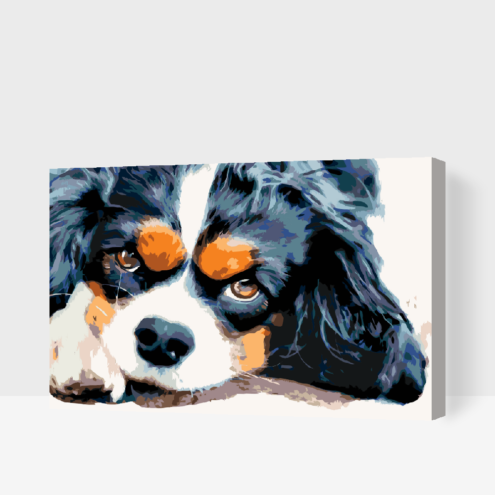Paint by number - Thougtful Dog