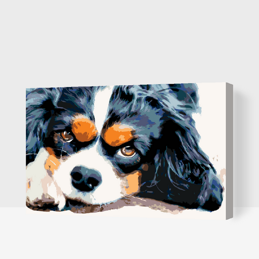 Paint by number - Thougtful Dog