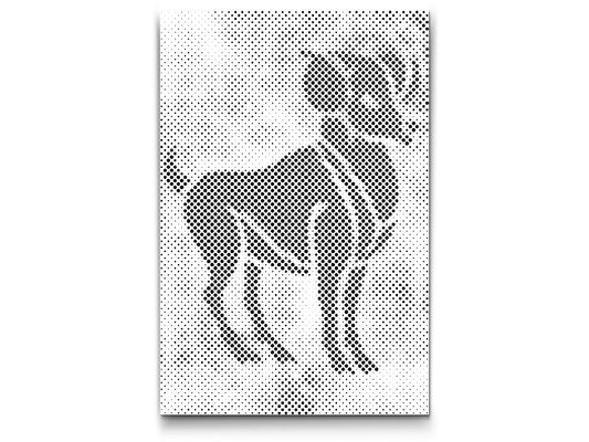 Dotting - Stjernetegn – Vædderen