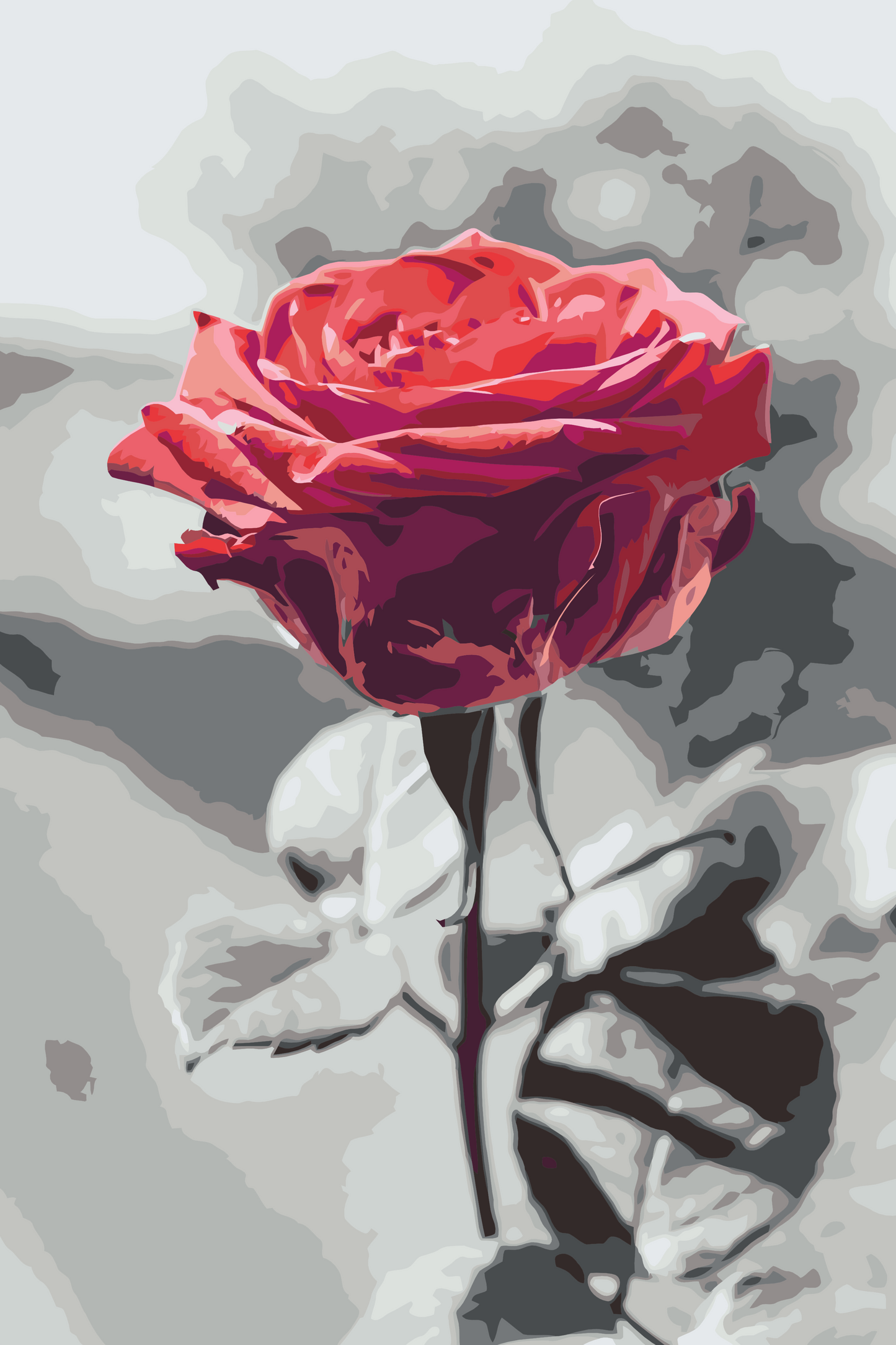 Paint by number - Blomstrende Rose