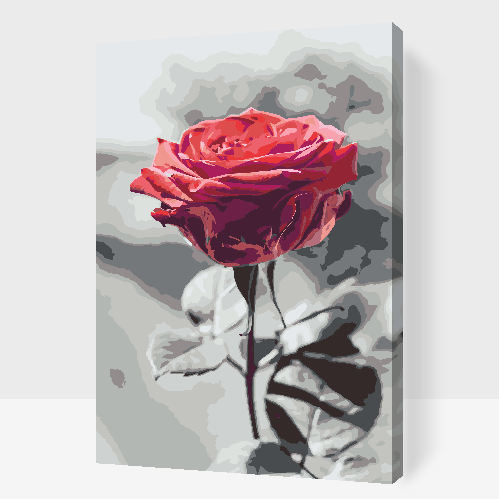 Paint by number - Blomstrende Rose