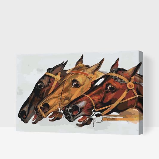 Paint by number - Kapløbsheste