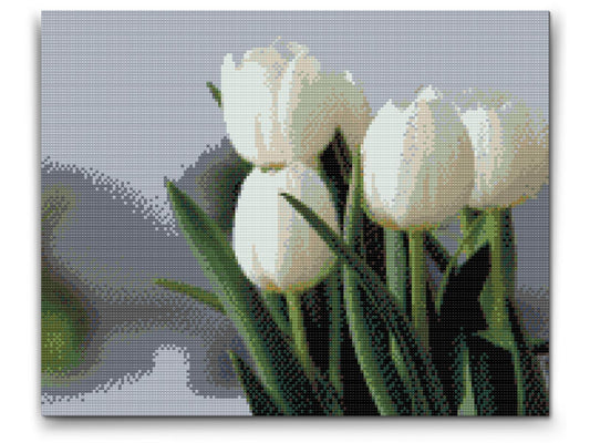 Diamond Paint - Hvide tulipaner