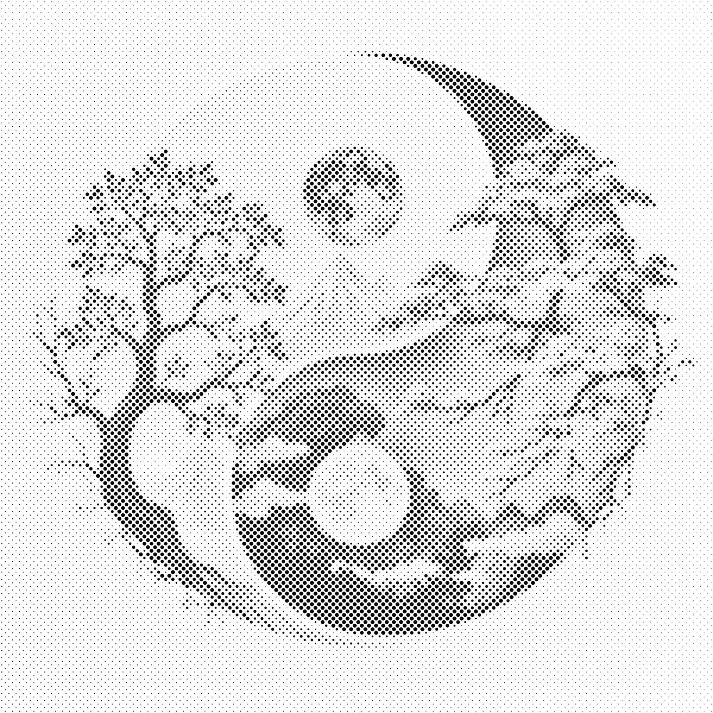 Dotting - Jin Jang - Dag og nat