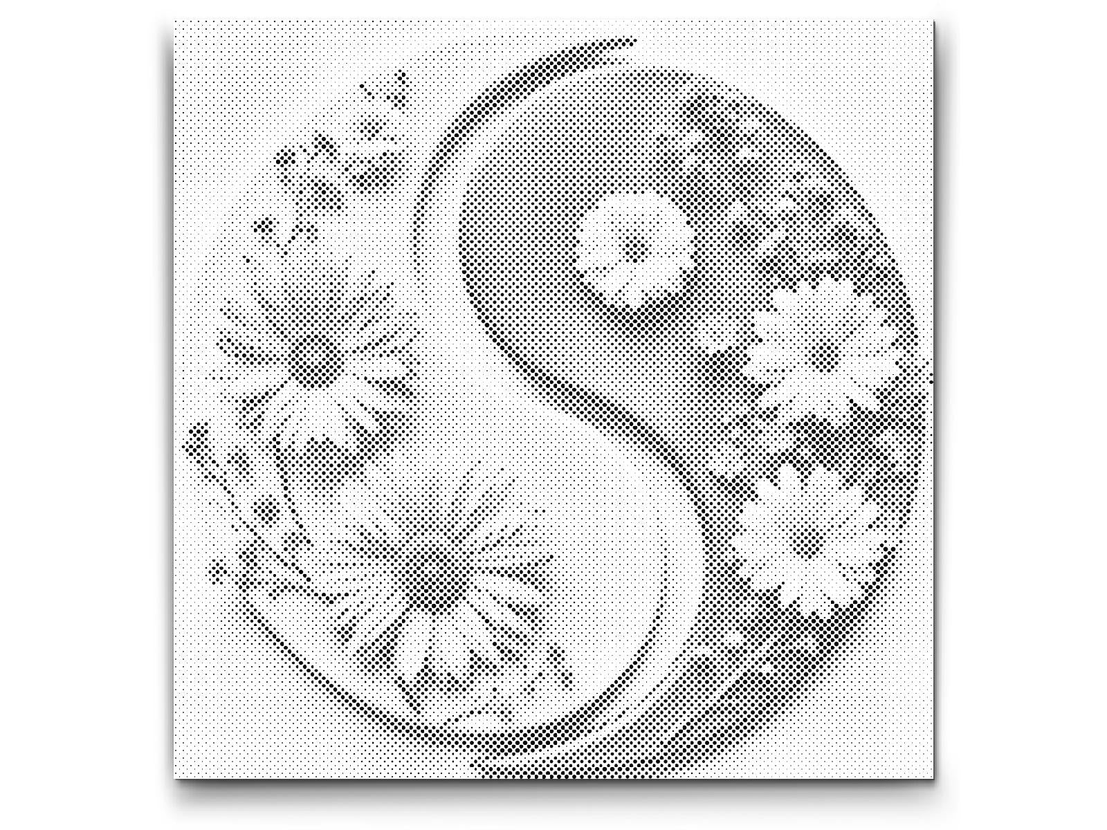 Dotting - Jin Jang Blomster