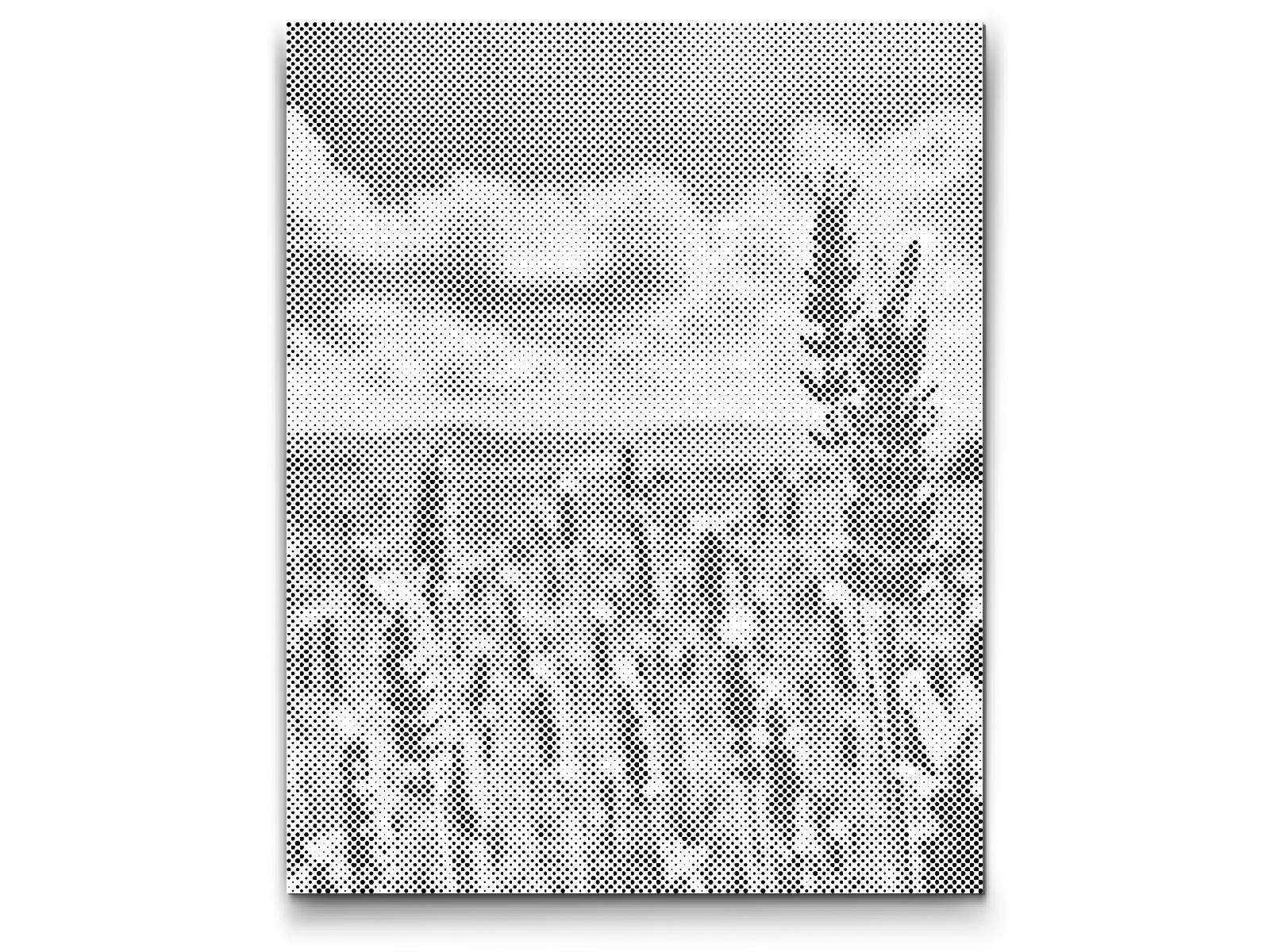 Dotting - Lavendel i marken