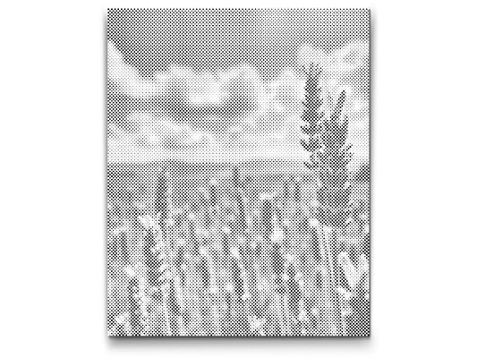 Dotting - Lavendel i marken