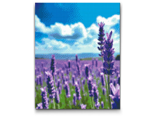 Diamond Paint - Lavendel i marken
