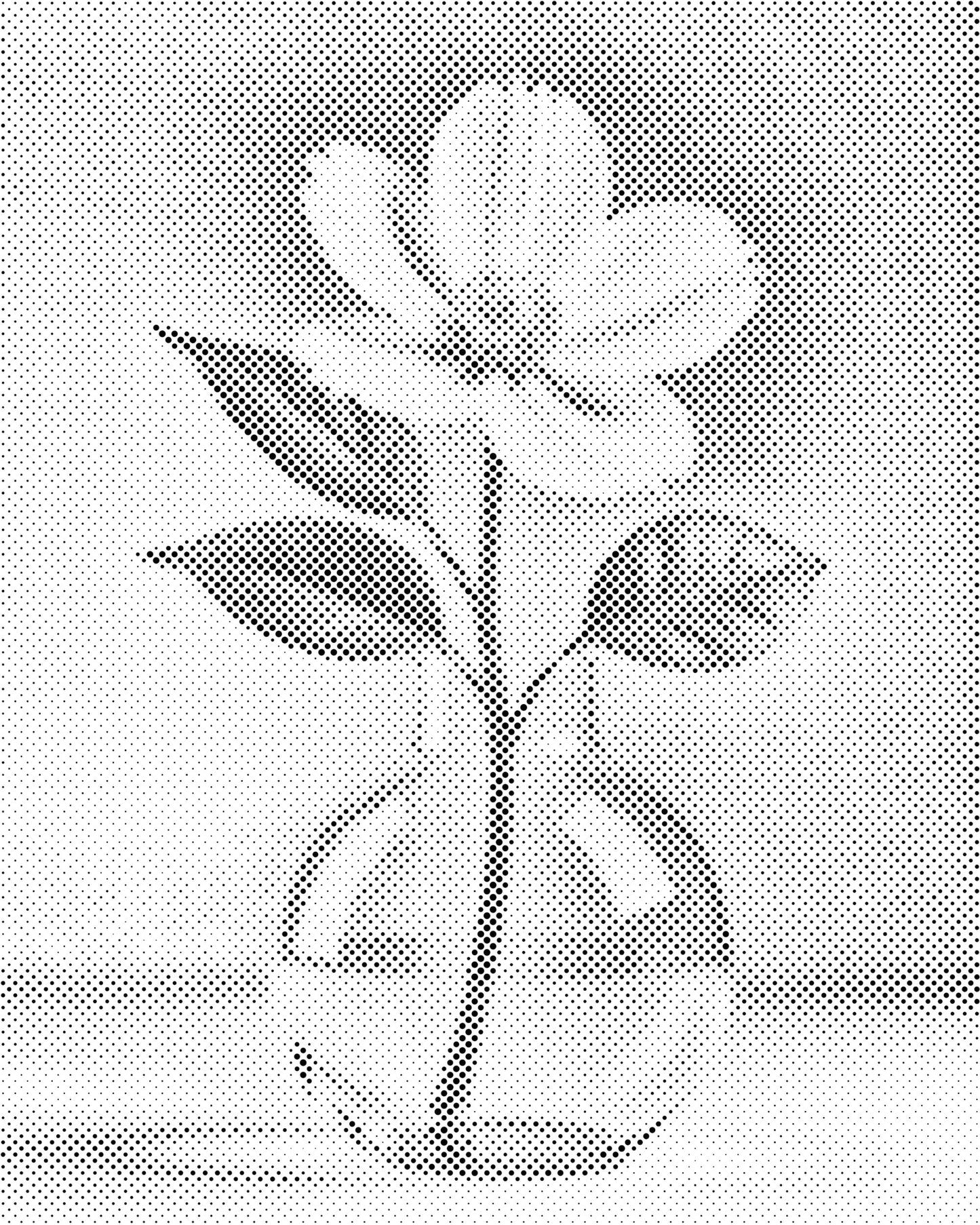 Dotting - Minimalistisk hvid blomst