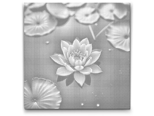 Dotting - Lyserød lotusblomst