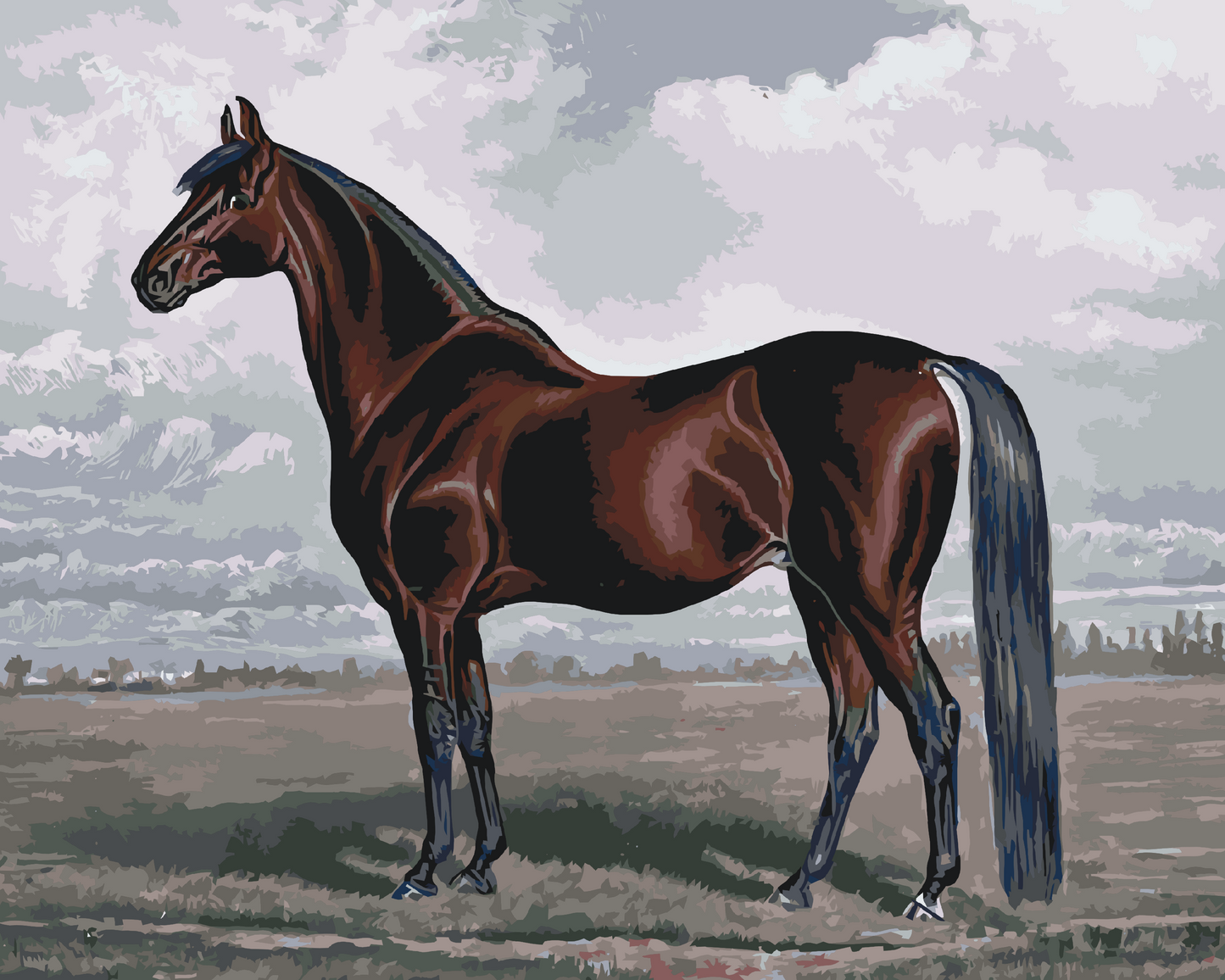 Paint by number - Majestic Horse