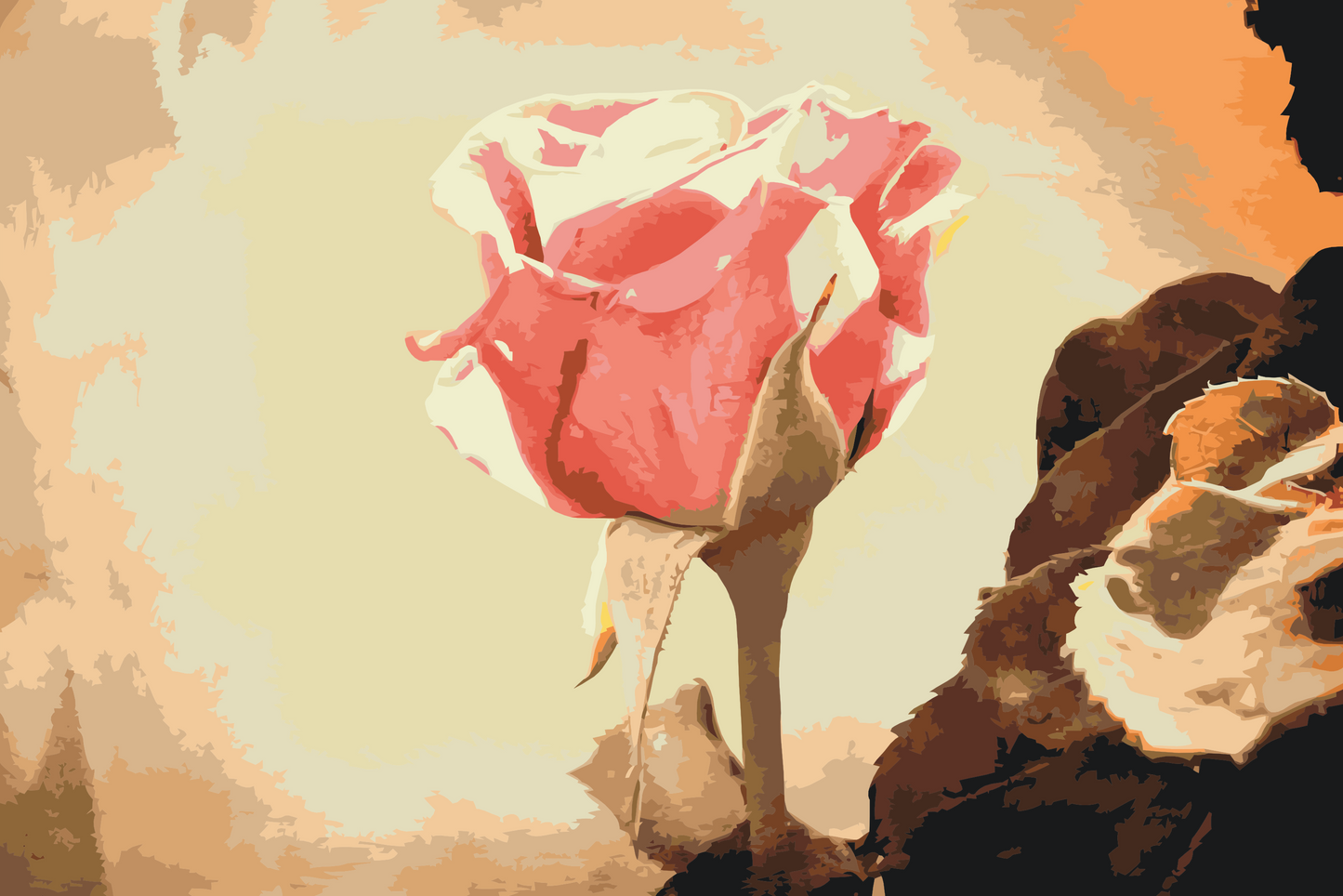 Paint by number - Vintage Rose 3