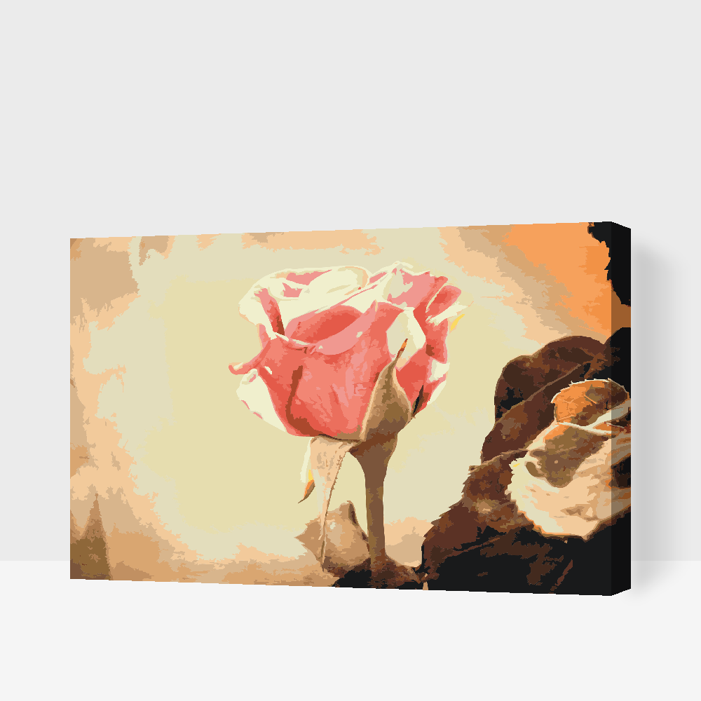 Paint by number - Vintage Rose 3