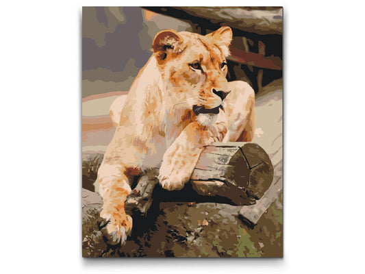 Paint by number - Løve