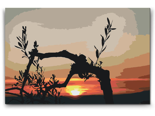 Paint by number - Oliventræ ved solnedgang
