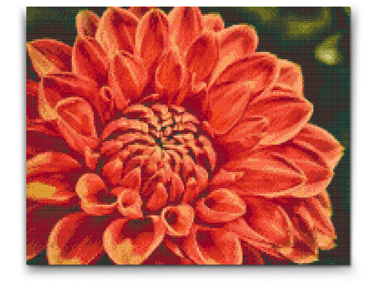 Diamond Paint - Rød Dahlia