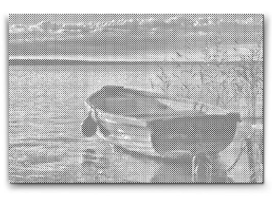 Dotting - Balaton, båd – Ungarn