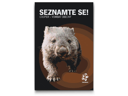 Paint by number - ZOO Praha Cooper