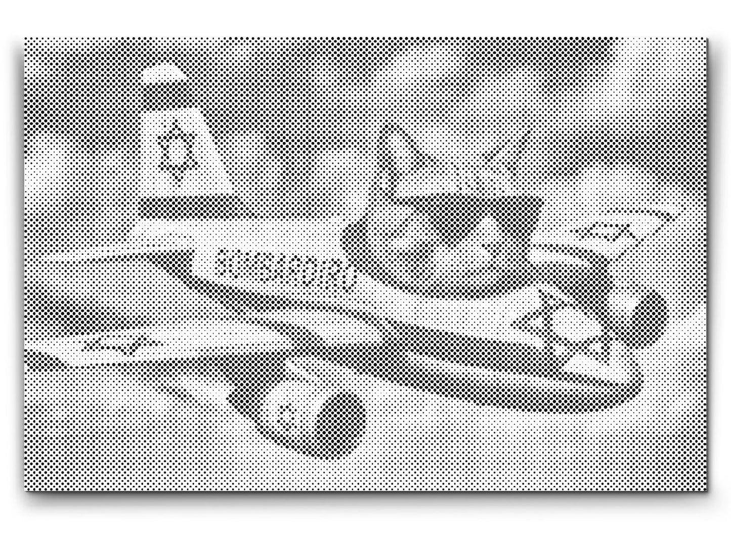 Dotting - Bombardiro gatino