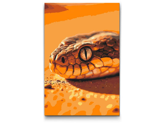 Paint by number - Slangeøje