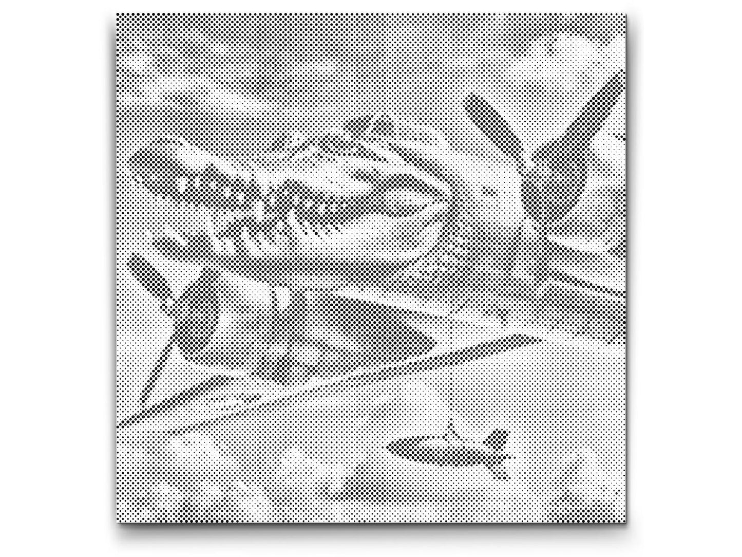 Dotting - Bombardiro Crocodillo