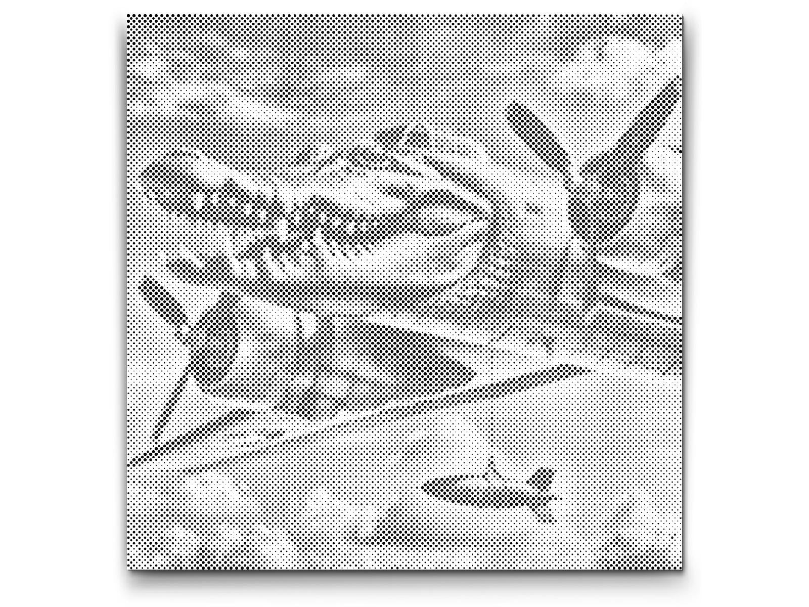 Dotting - Bombardiro Crocodillo