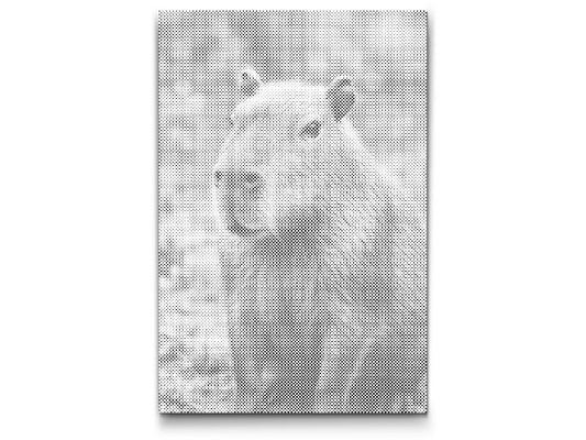 Dotting - Capybara i skoven