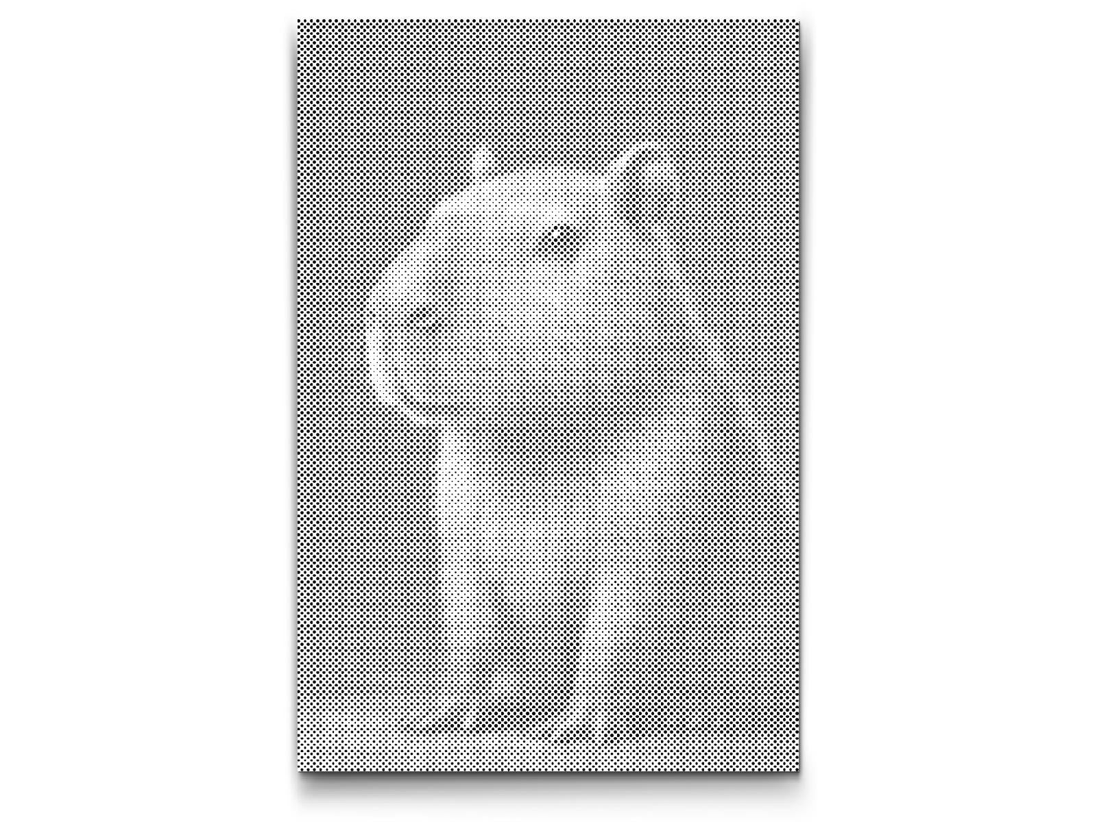 Dotting - Capybara i skoven