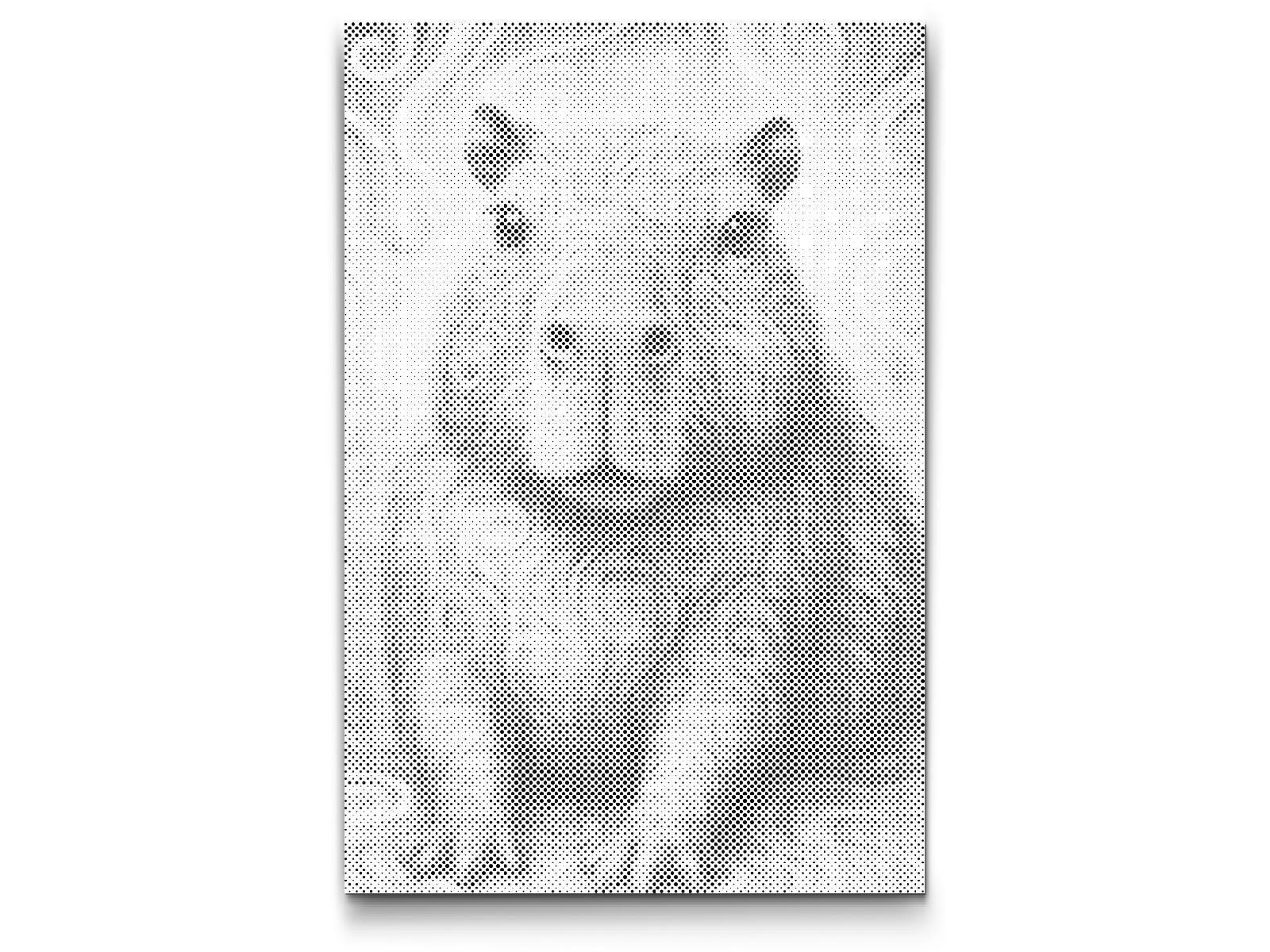 Dotting - Psykedelisk kapybara