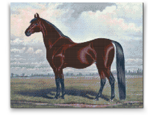 Diamond Paint - Majestic Horse