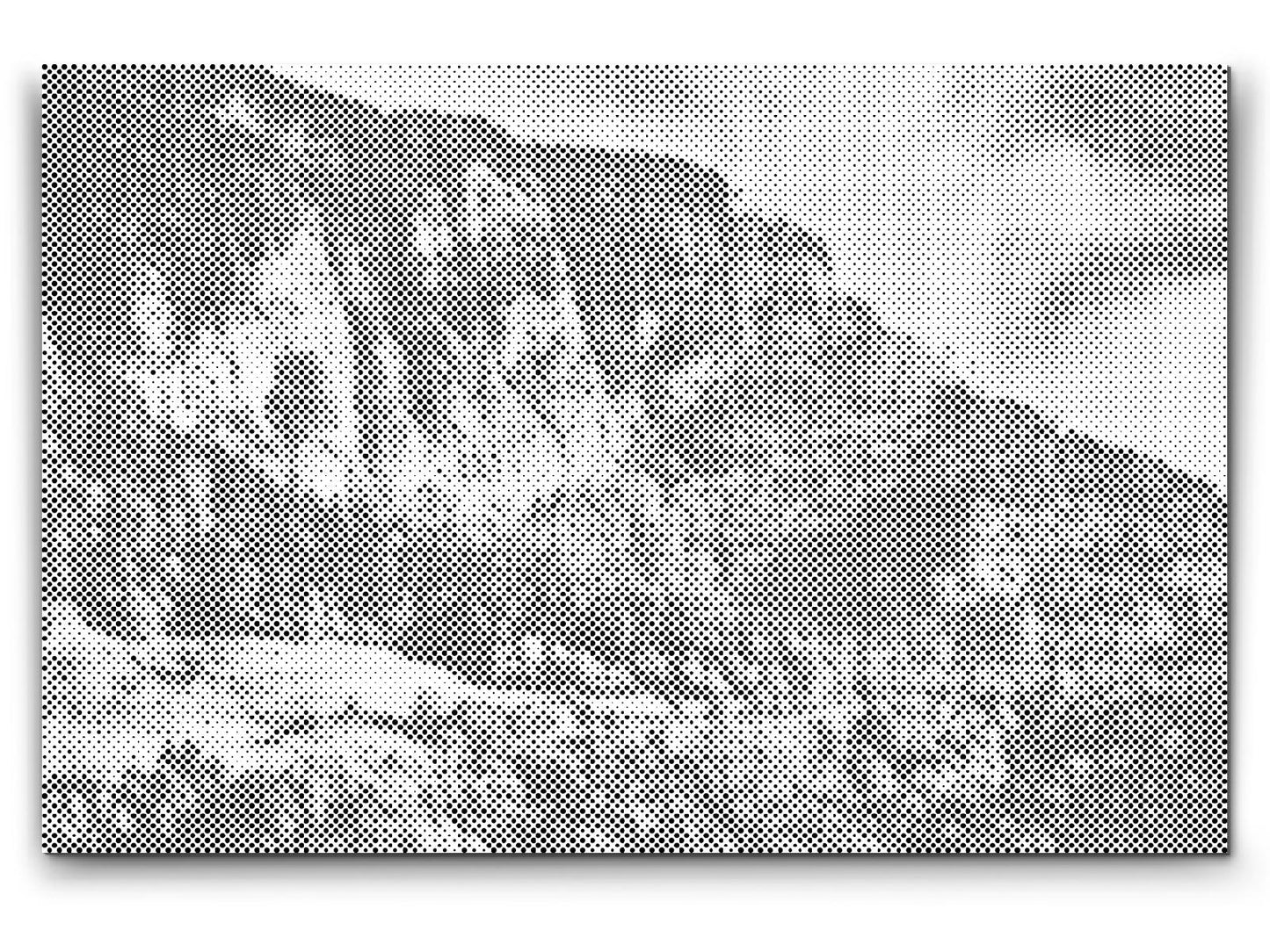 Dotting - Farverigt landskab – Slovenien