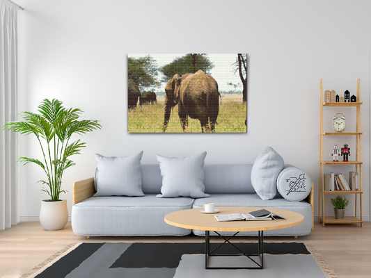 Diamond Paint - Serengeti Nationalpark