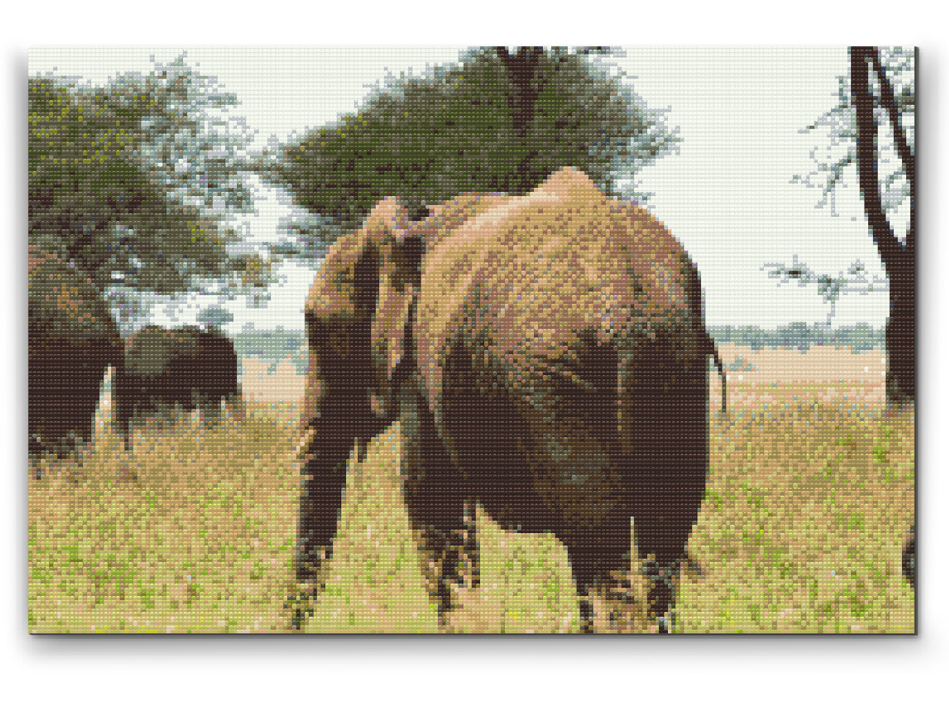 Diamond Paint - Serengeti Nationalpark