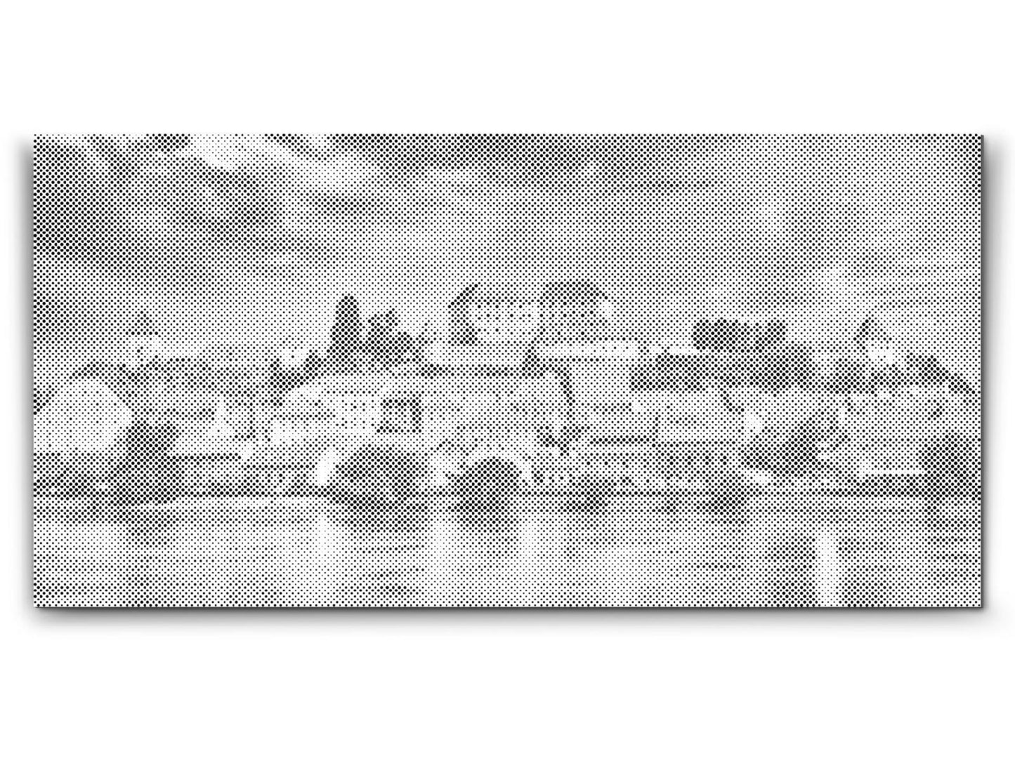 Dotting - Udsigt over byen Ptuj - Slovenien