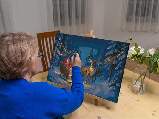 Paint by number - Julemandens slæde