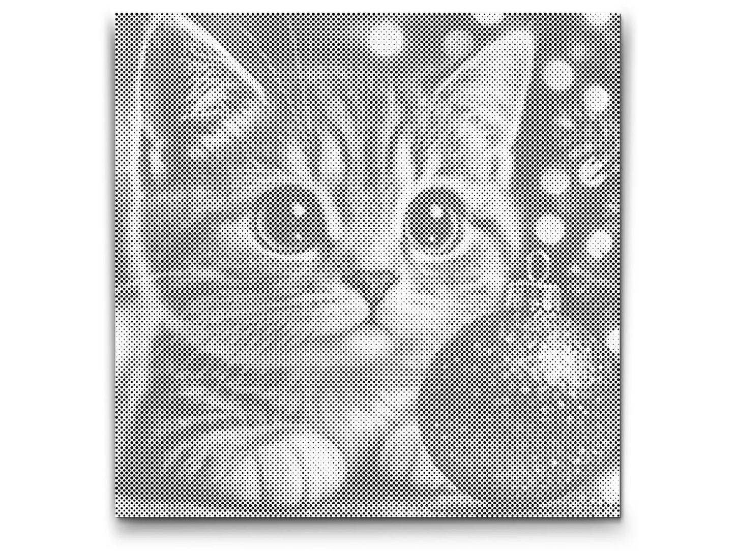 Dotting - Julekat
