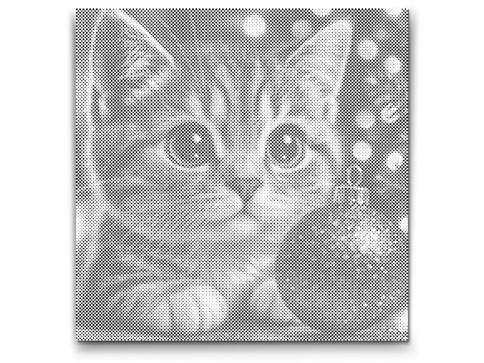 Dotting - Julekat