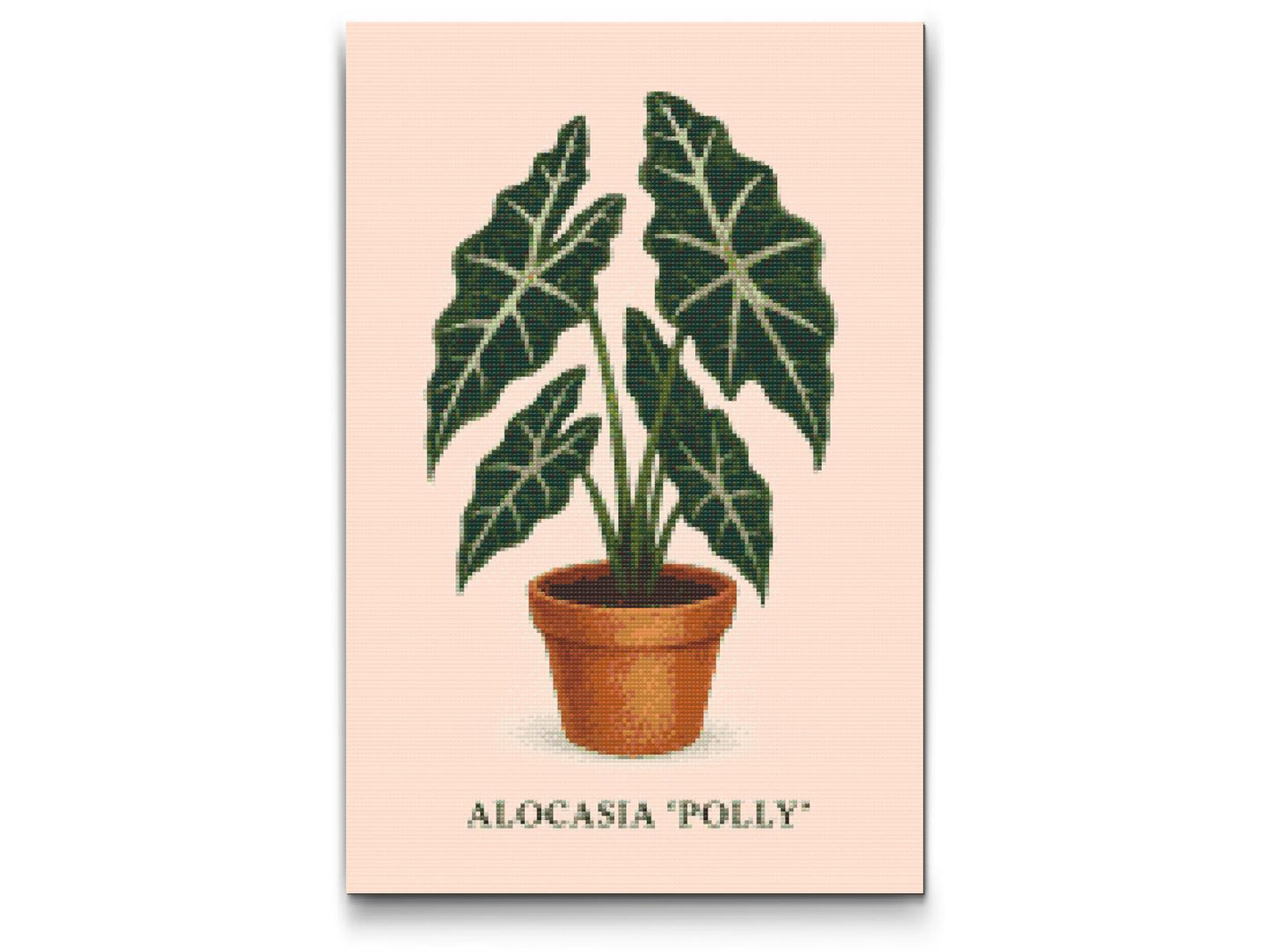 Diamond Paint - Alocasia Polly
