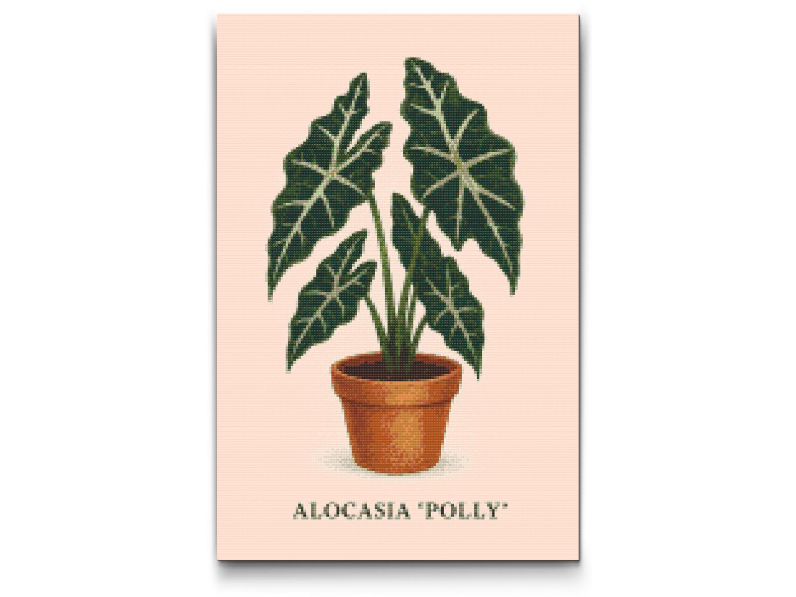 Diamond Paint - Alocasia Polly