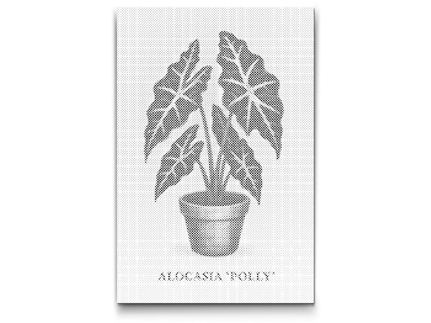 Dotting - Alocasia Polly