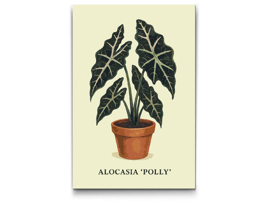 Paint by number - Alocasia Polly