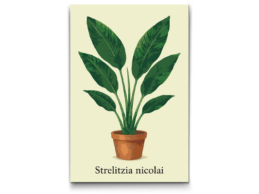 Paint by number - Kæmpe Strelitzia