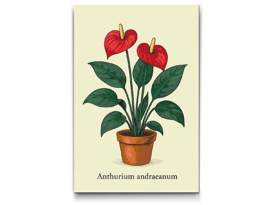Paint by number - Andres anthurium / Flamingoblomst