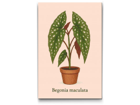 Diamond Paint - Polka Dot Begonia